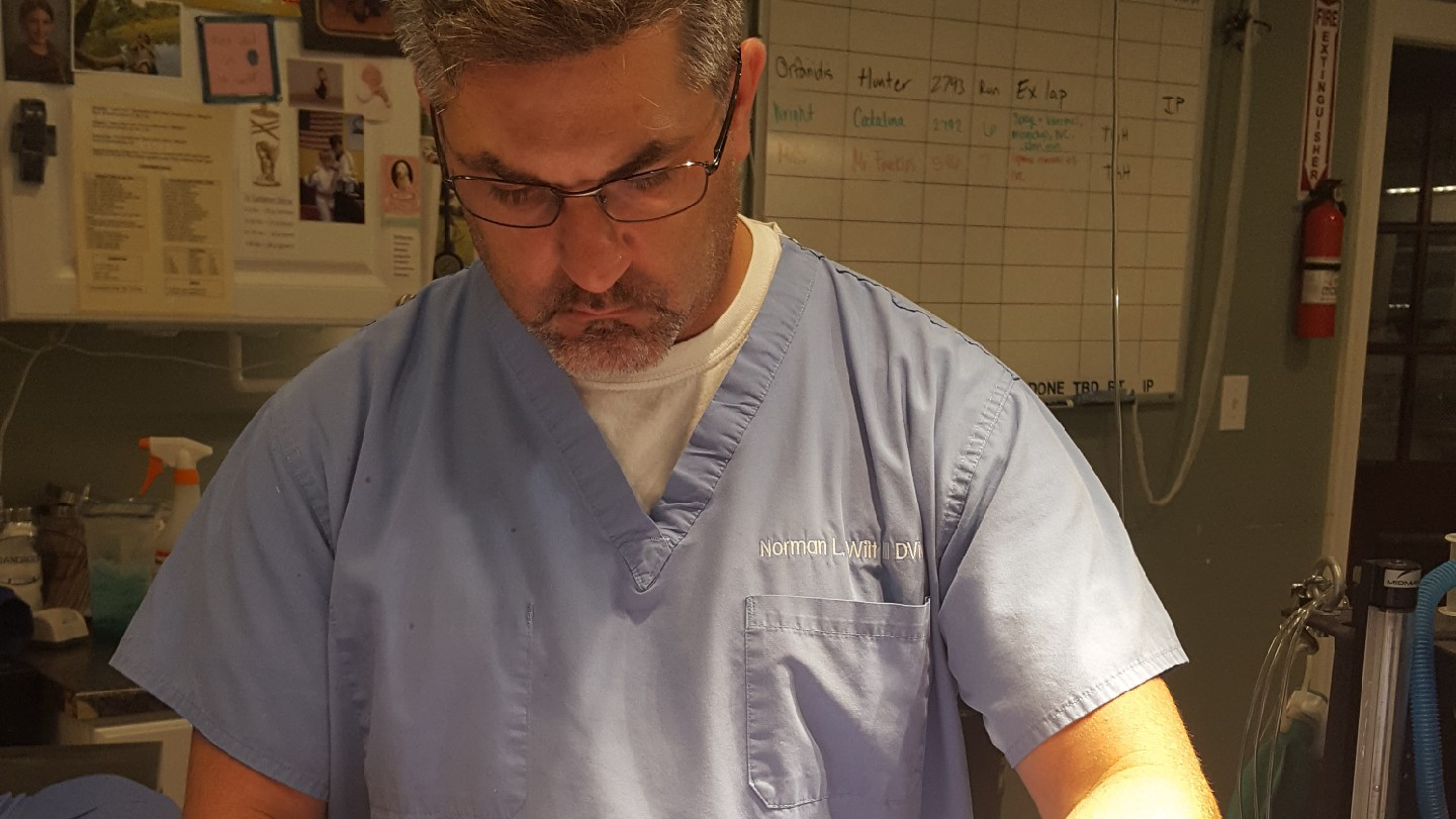 Ranson Animal Hospital