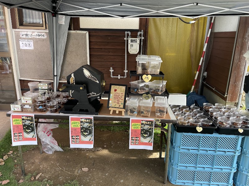 のもん虫(ショップ·昆虫ブリード)