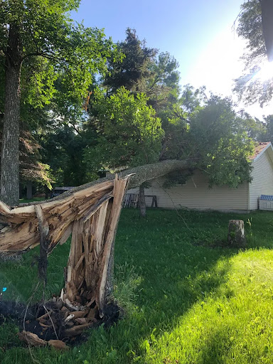 post-image-2