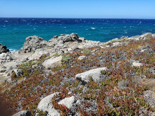 Plage de Bodri