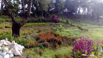 Photos of Mountain View Hill Resort