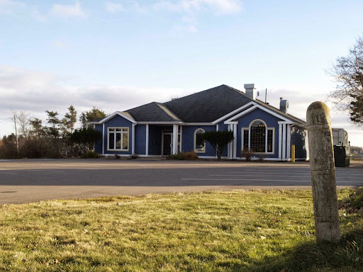 docbraces Summerside