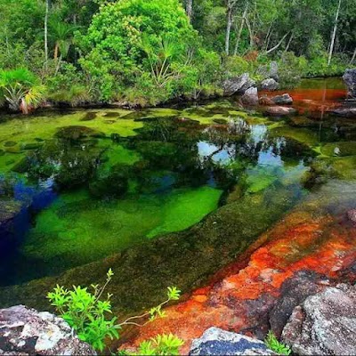 Photos of Parque Principal Arauca Caldas