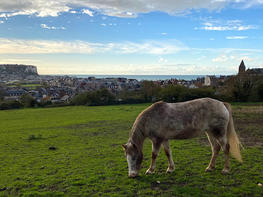 Équitation Mers-Les-Bains