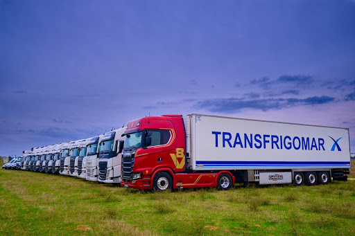 Transfrigomar - Visual