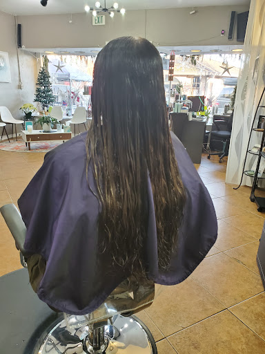 Studio 210 Hair Design