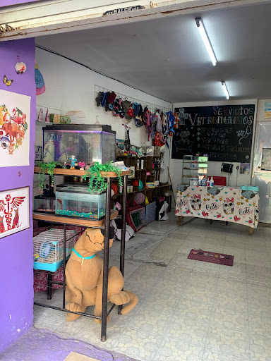 CLINICA Y ESTÉTICA VETERINARIA "FOX TERRIER" SP