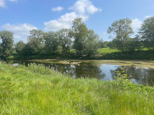 Brockholes Parking Gallery - United Kingdom
