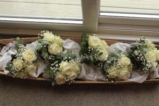 Blooms of Bideford Gallery - United Kingdom