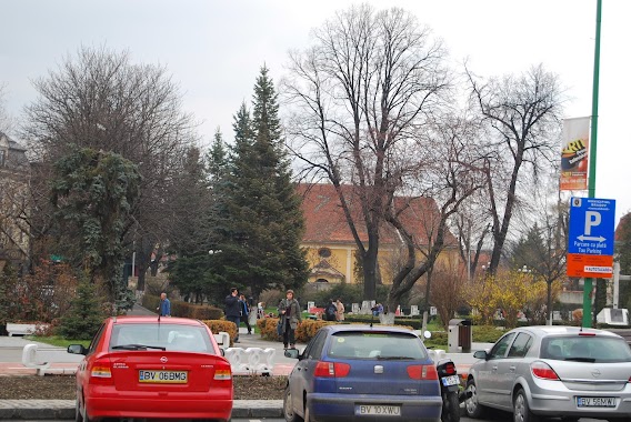 Biserica Evanghelică Luterană Maghiară, Author: Alexandru Losonczy