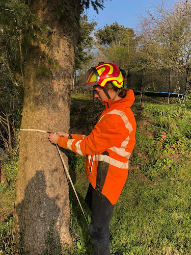 Suber Greenspace Tree Consultancy