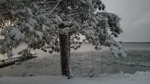 Camp 46 - Visual