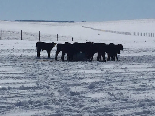Hat Creek Feeds - Thumbnail