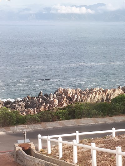 Photos of 49 on Cliff
