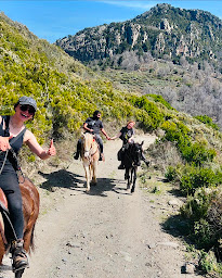 Photo n°20 de Ranch Paganacciu - Balade à cheval en Corse - Baignade avec les chevaux à Penta-di-Casinca (Centre de randonnée équestre)