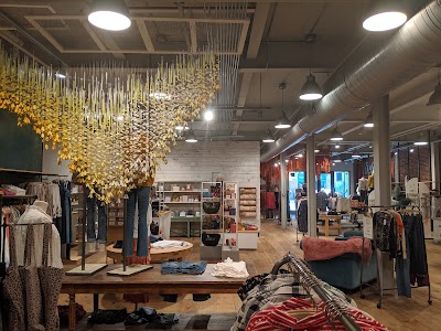 Anthropologie