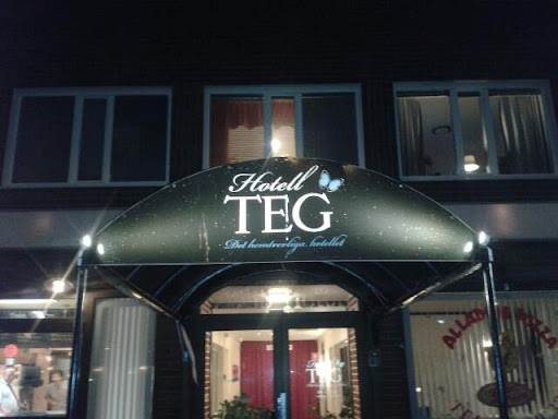Besökarbild Hotell Teg