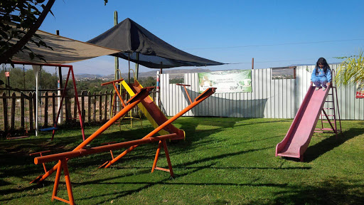 Torito´s Barbacoa - Thumbnail