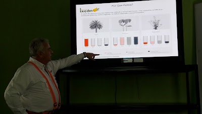 Photos of PALMAS DEL IXCAN LTDA
