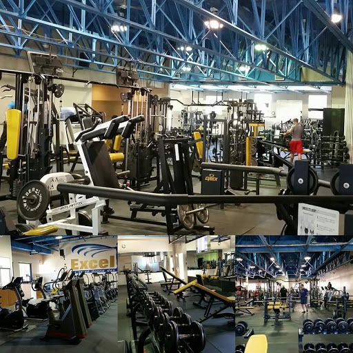 Excel Gym - Visual