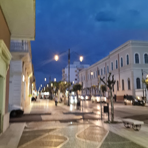 Grimaldi Gallipoli Centro - Visual