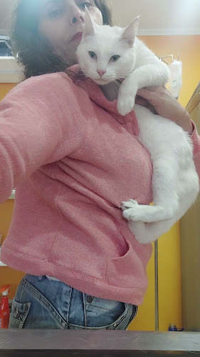 https://m.facebook.com/kennedyveterinaria/