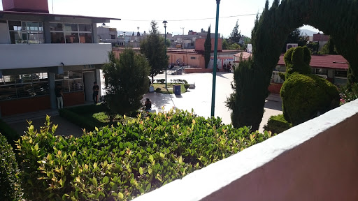 Escuela Preparatoria Oficial 143