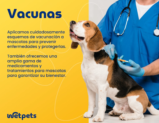 Clinica Veterinaria Laguna Pets