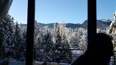 Photos of Hotel Bor (Sokolets Borovets Ad)