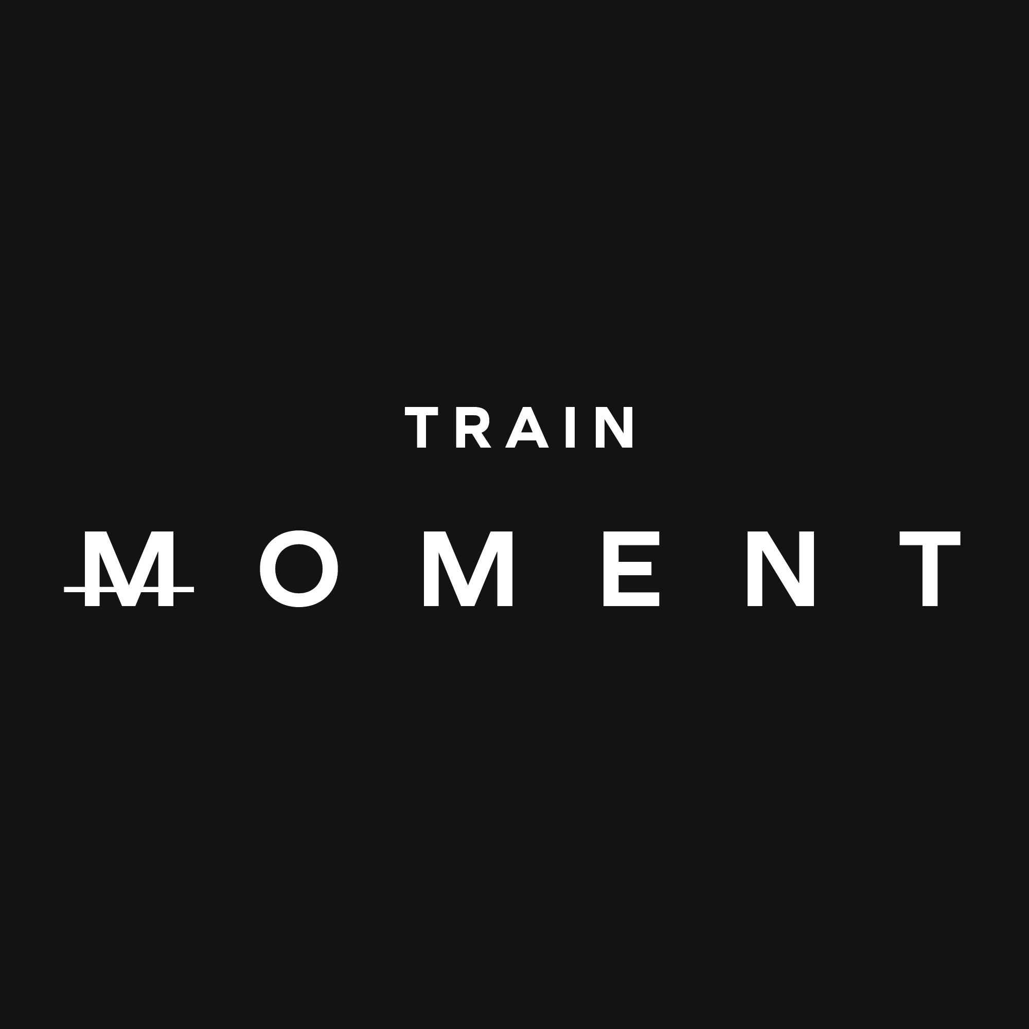 TRAIN MOMENT (Lincoln Park) photo 19