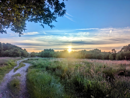 Hednesford Hills Local Nature Reserve Gallery - United Kingdom