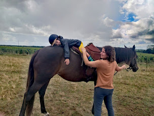 Photo n°2 de Équithérapie Laetitia Richard à Vallet (Centre de bien-être)