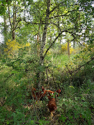 Photo n°1 de La ferme de la grignette à Ternand (Ferme bio)