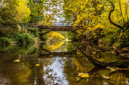 Schlosspark Rheder Gallery - Germany