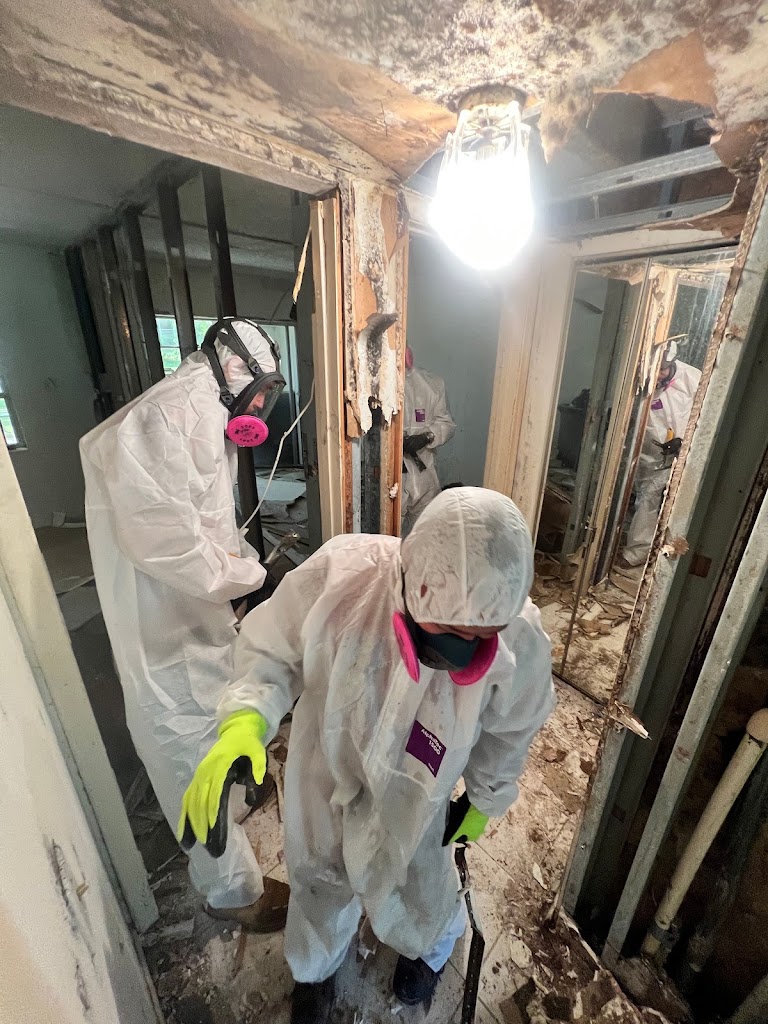 Restoration Xperts photo