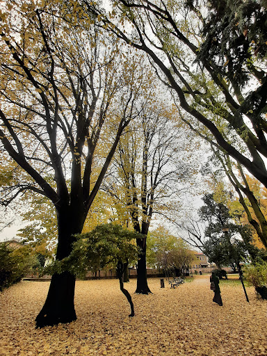 Andrea Zanzotto Park - Thumbnail