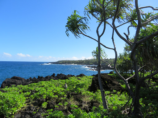 Coast path - Visual