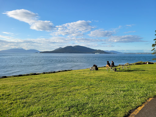 Green Point - Visual