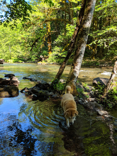 Ripplebrook Campground - Visual