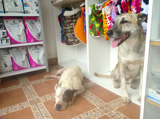 Veterinaria El Edén