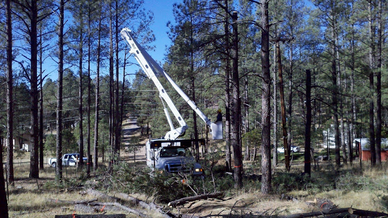 East texas land management