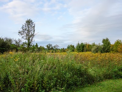 Kittatinny Valley Campsite