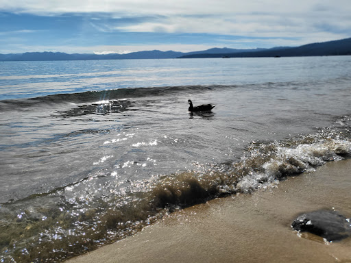 Lake Tahoe Sculpture - Thumbnail