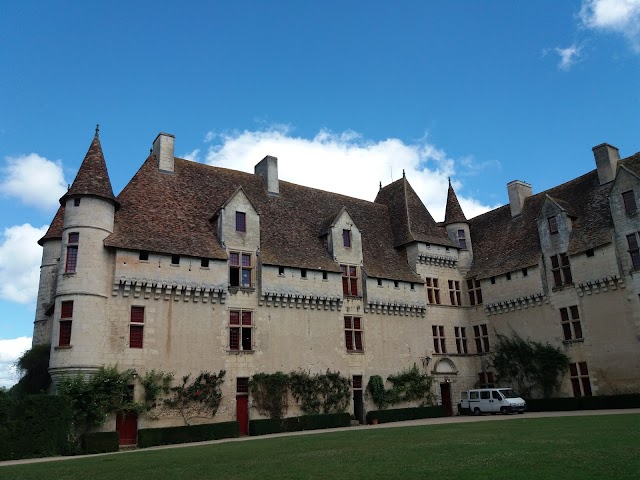 Château de Neuvic