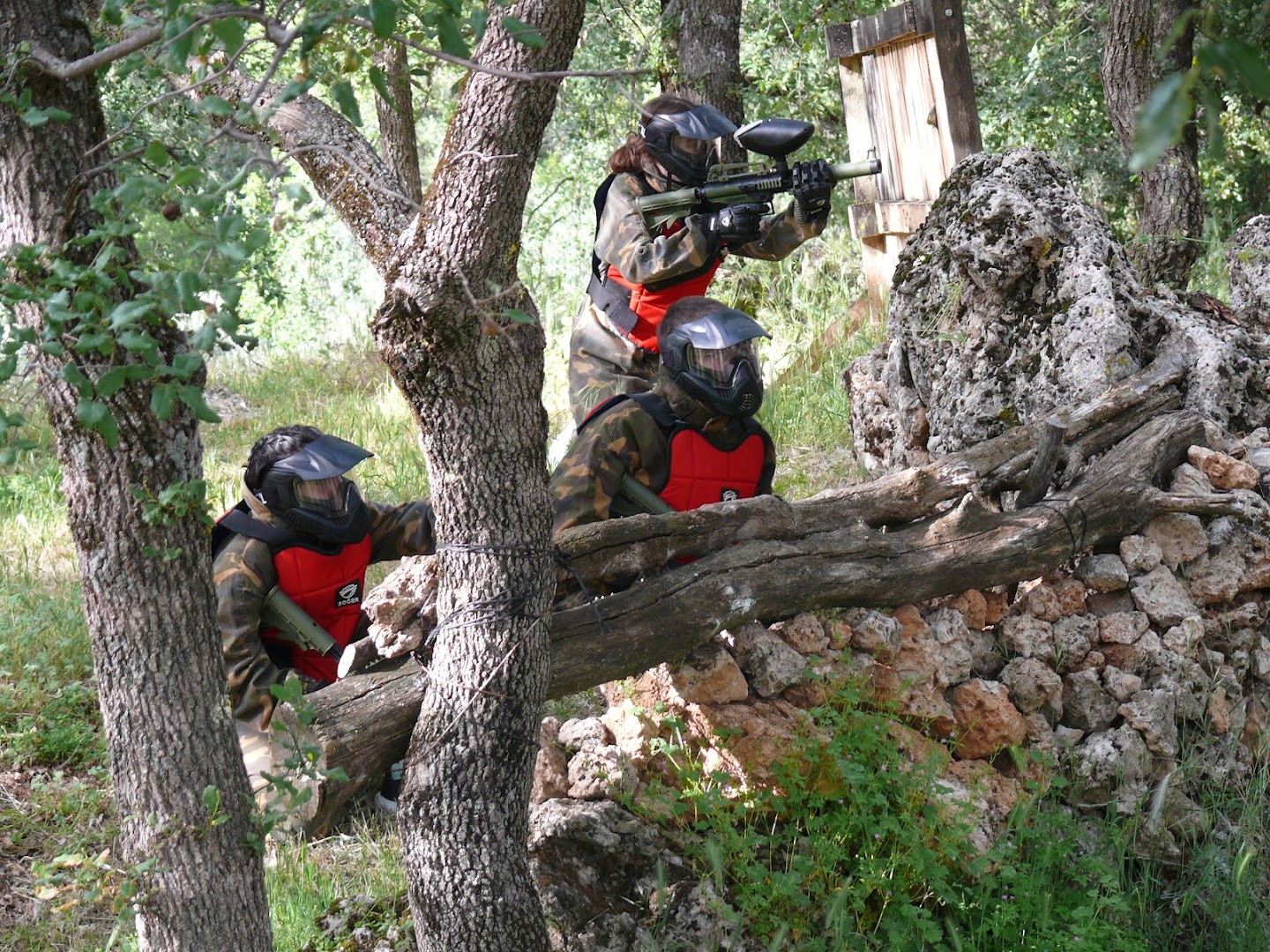PaintForest Paintball