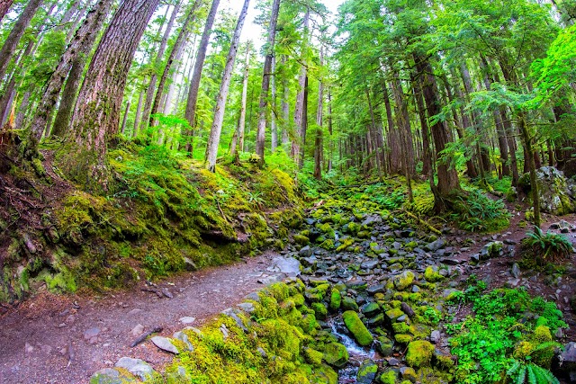 Sol Duc Trailhead