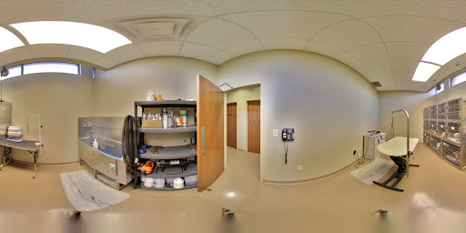 Michigan Road Animal Hospital at 96th Street - Thumbnail