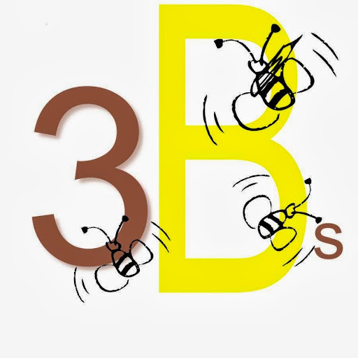 3Bs Bubbs Biz Basics LLC