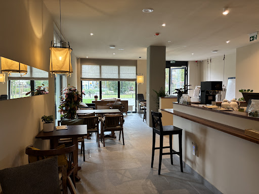 New Chinese Tea | 茶水马龙