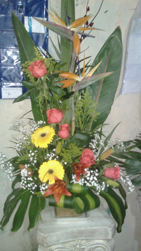 Floreria D'sofia - Visual
